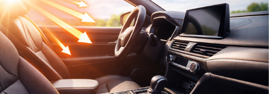 Interior Protection 1