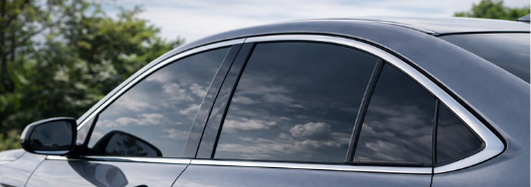 Premium Look Privacy 1